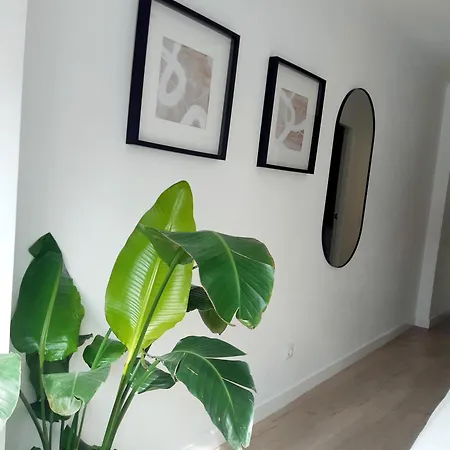 아파트 Impressive With 3 Bedrooms Metres From The 에스테포나