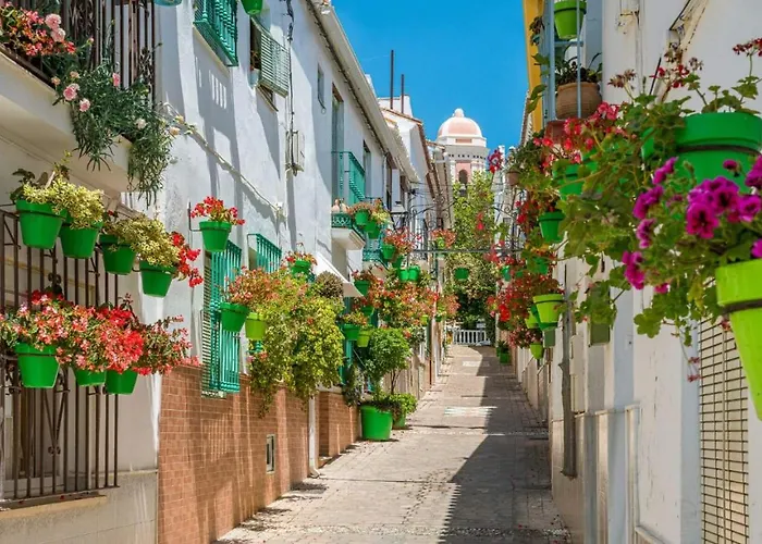 Impressive With 3 Bedrooms Metres From The *